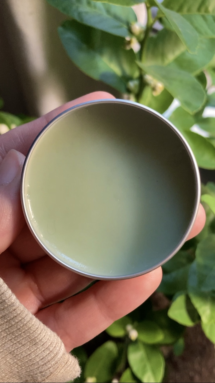 Blue tansy tallow balm